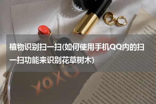 植物识别扫一扫(如何使用手机QQ内的扫一扫功能来识别花草树木)