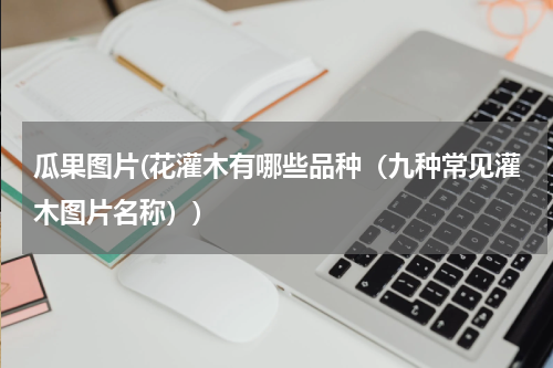 瓜果图片(花灌木有哪些品种（九种常见灌木图片名称）)