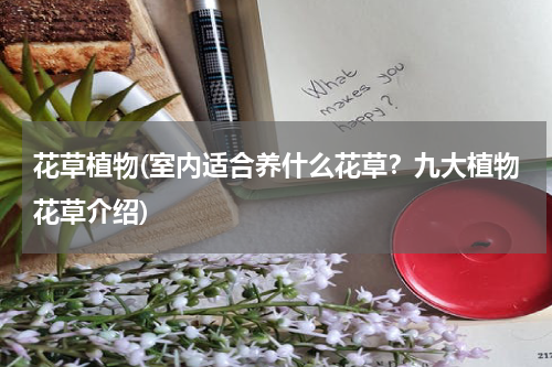 花草植物(室内适合养什么花草？九大植物花草介绍)