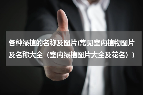 各种绿植的名称及图片(常见室内植物图片及名称大全（室内绿植图片大全及花名）)
