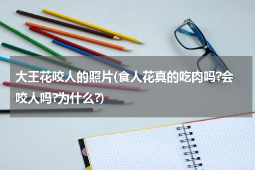 大王花咬人的照片(食人花真的吃肉吗?会咬人吗?为什么?)