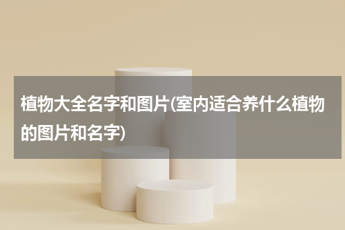 植物大全名字和图片(室内适合养什么植物的图片和名字)
