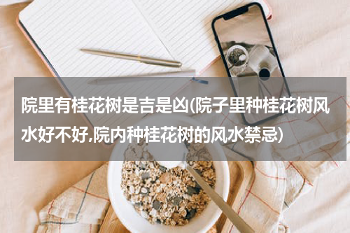 院里有桂花树是吉是凶(院子里种桂花树风水好不好,院内种桂花树的风水禁忌)