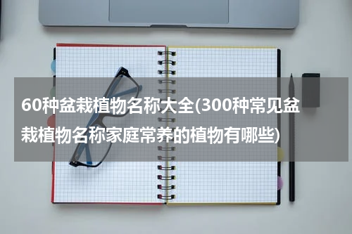 60种盆栽植物名称大全(300种常见盆栽植物名称家庭常养的植物有哪些)