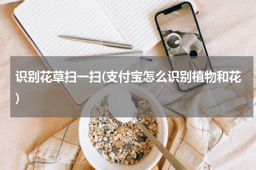 识别花草扫一扫(支付宝怎么识别植物和花)