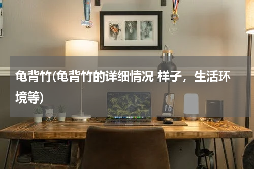 龟背竹(龟背竹的详细情况 样子，生活环境等)