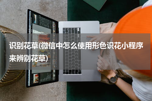 识别花草(微信中怎么使用形色识花小程序来辨别花草)