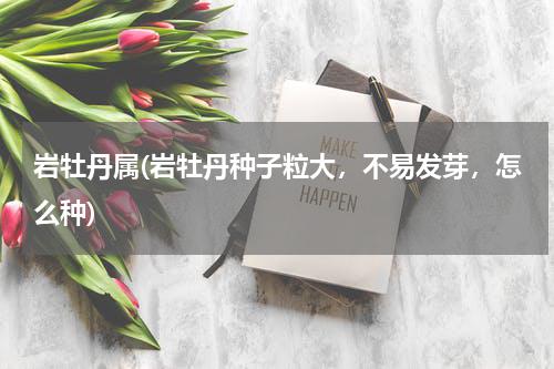 岩牡丹属(岩牡丹种子粒大，不易发芽，怎么种)