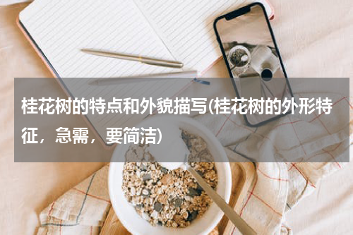 桂花树的特点和外貌描写(桂花树的外形特征，急需，要简洁)