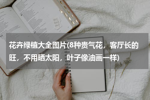 花卉绿植大全图片(8种贵气花，客厅长的旺，不用晒太阳，叶子像油画一样)