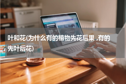 叶和花(为什么有的植物先花后果 ,有的先叶后花)
