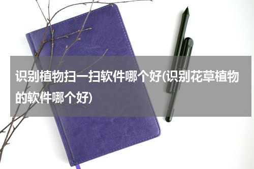 识别植物扫一扫软件哪个好(识别花草植物的软件哪个好)