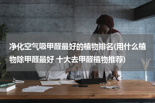 净化空气吸甲醛最好的植物排名(用什么植物除甲醛最好 十大去甲醛植物推荐)