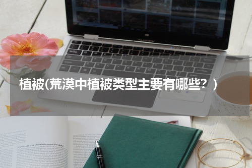 植被(荒漠中植被类型主要有哪些？)
