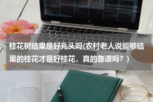 桂花树结果是好兆头吗(农村老人说能够结果的桂花才是好桂花，真的靠谱吗？)