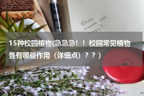 15种校园植物(急急急！！校园常见植物各有哪些作用（详细点）？？)