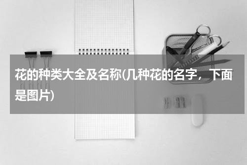花的种类大全及名称(几种花的名字，下面是图片)