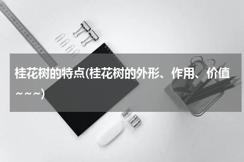 桂花树的特点(桂花树的外形、作用、价值~~~)