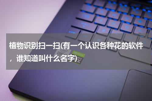 植物识别扫一扫(有一个认识各种花的软件，谁知道叫什么名字)