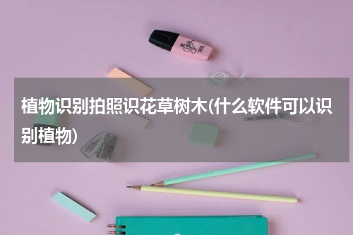 植物识别拍照识花草树木(什么软件可以识别植物)