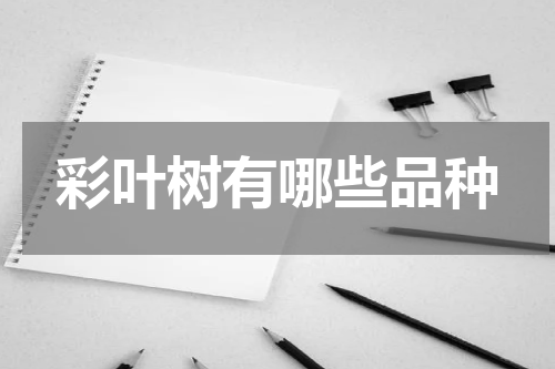 彩叶树有哪些品种