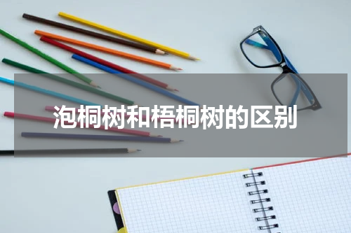 泡桐树和梧桐树的区别