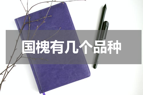 国槐有几个品种