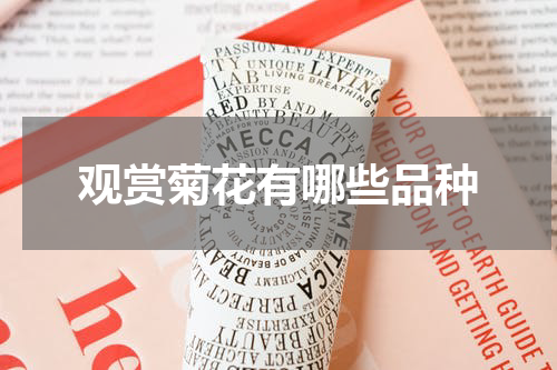观赏菊花有哪些品种