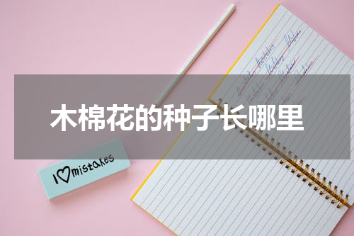 木棉花的种子长哪里