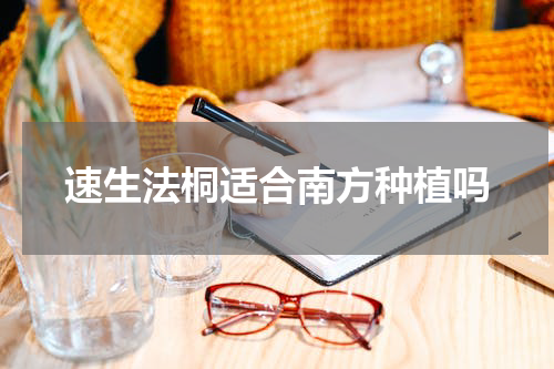 速生法桐适合南方种植吗