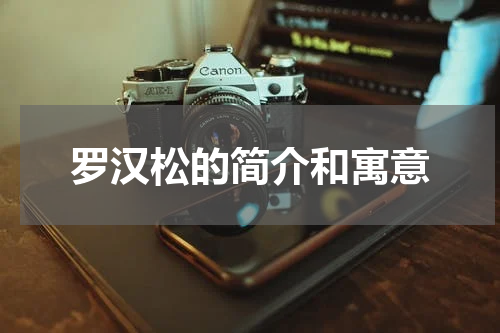 罗汉松的简介和寓意