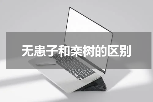 无患子和栾树的区别