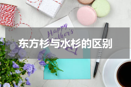 东方杉与水杉的区别