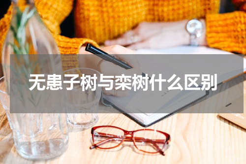 无患子树与栾树什么区别