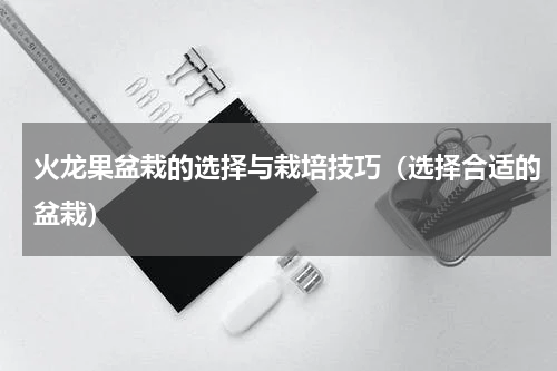 火龙果盆栽的选择与栽培技巧（选择合适的盆栽）