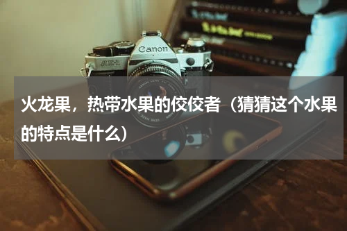 火龙果，热带水果的佼佼者（猜猜这个水果的特点是什么）