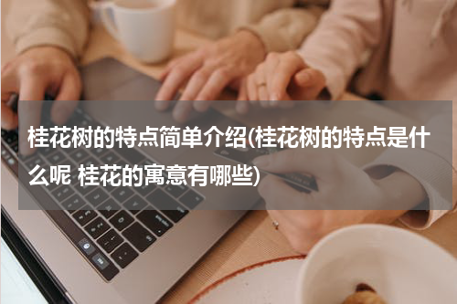 桂花树的特点简单介绍(桂花树的特点是什么呢 桂花的寓意有哪些)