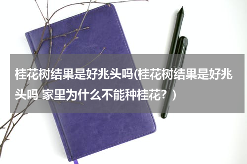 桂花树结果是好兆头吗(桂花树结果是好兆头吗 家里为什么不能种桂花？)