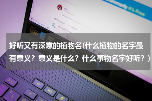 好听又有深意的植物名(什么植物的名字最有意义？意义是什么？什么事物名字好听？)