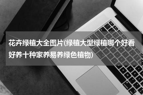 花卉绿植大全图片(绿植大型绿植哪个好看好养十种家养易养绿色植物)