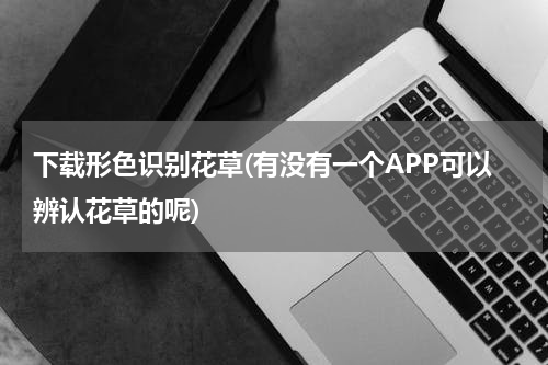 下载形色识别花草(有没有一个APP可以辨认花草的呢)