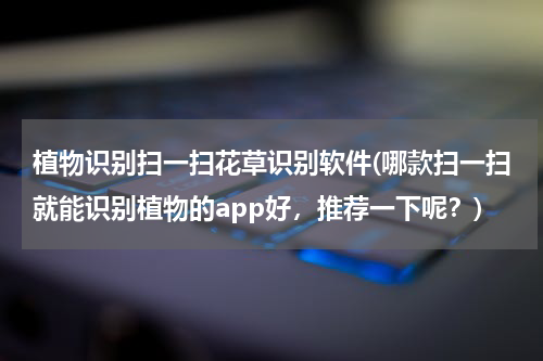 植物识别扫一扫花草识别软件(哪款扫一扫就能识别植物的app好，推荐一下呢？)