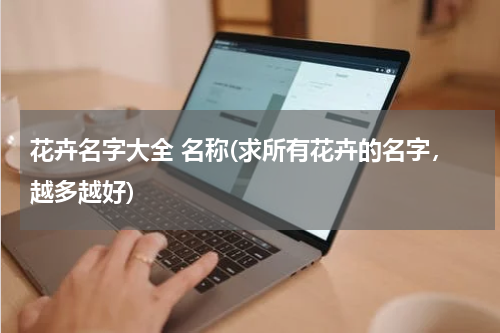 花卉名字大全 名称(求所有花卉的名字，越多越好)