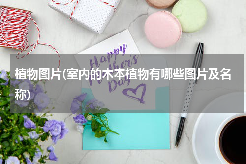 植物图片(室内的木本植物有哪些图片及名称)