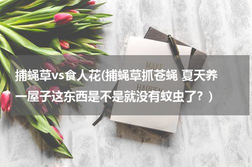 捕蝇草vs食人花(捕蝇草抓苍蝇 夏天养一屋子这东西是不是就没有蚊虫了？)