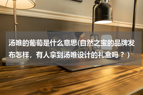 汤唯的葡萄是什么意思(自然之宝的品牌发布怎样，有人拿到汤唯设计的礼盒吗 ？)