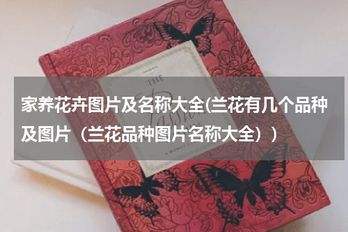 家养花卉图片及名称大全(兰花有几个品种及图片（兰花品种图片名称大全）)
