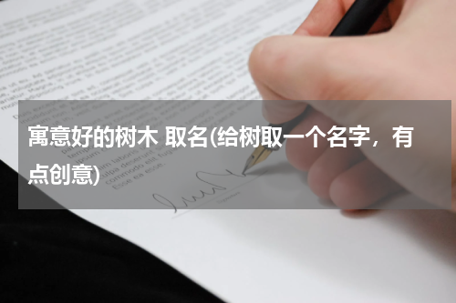 寓意好的树木 取名(给树取一个名字，有点创意)