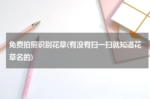 免费拍照识别花草(有没有扫一扫就知道花草名的)