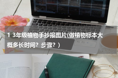 1 3年级植物手抄报图片(做植物标本大概多长时间？步骤？)